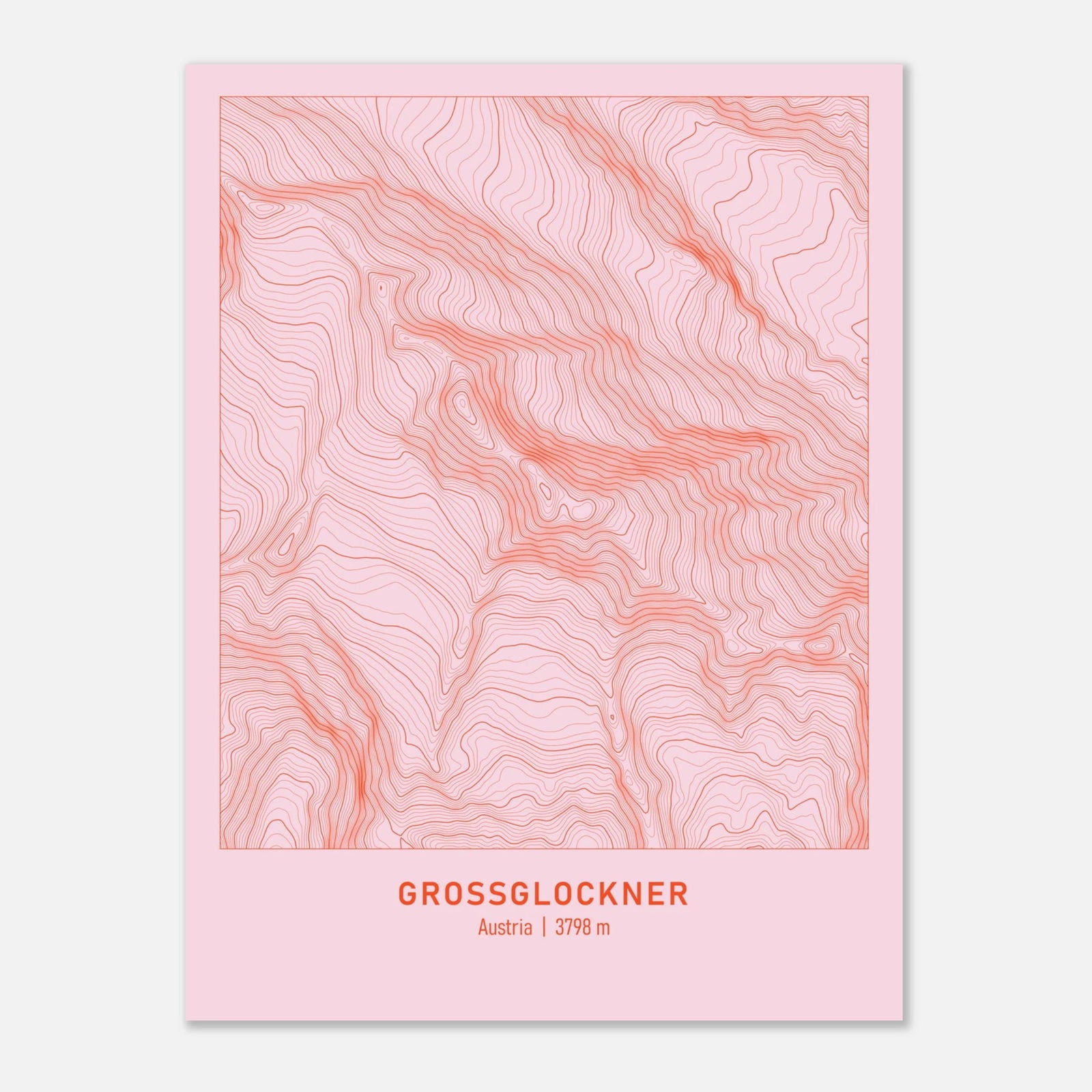 AAM_Großglockner Berg Höhenlinien Karte Poster - Rosa Rot