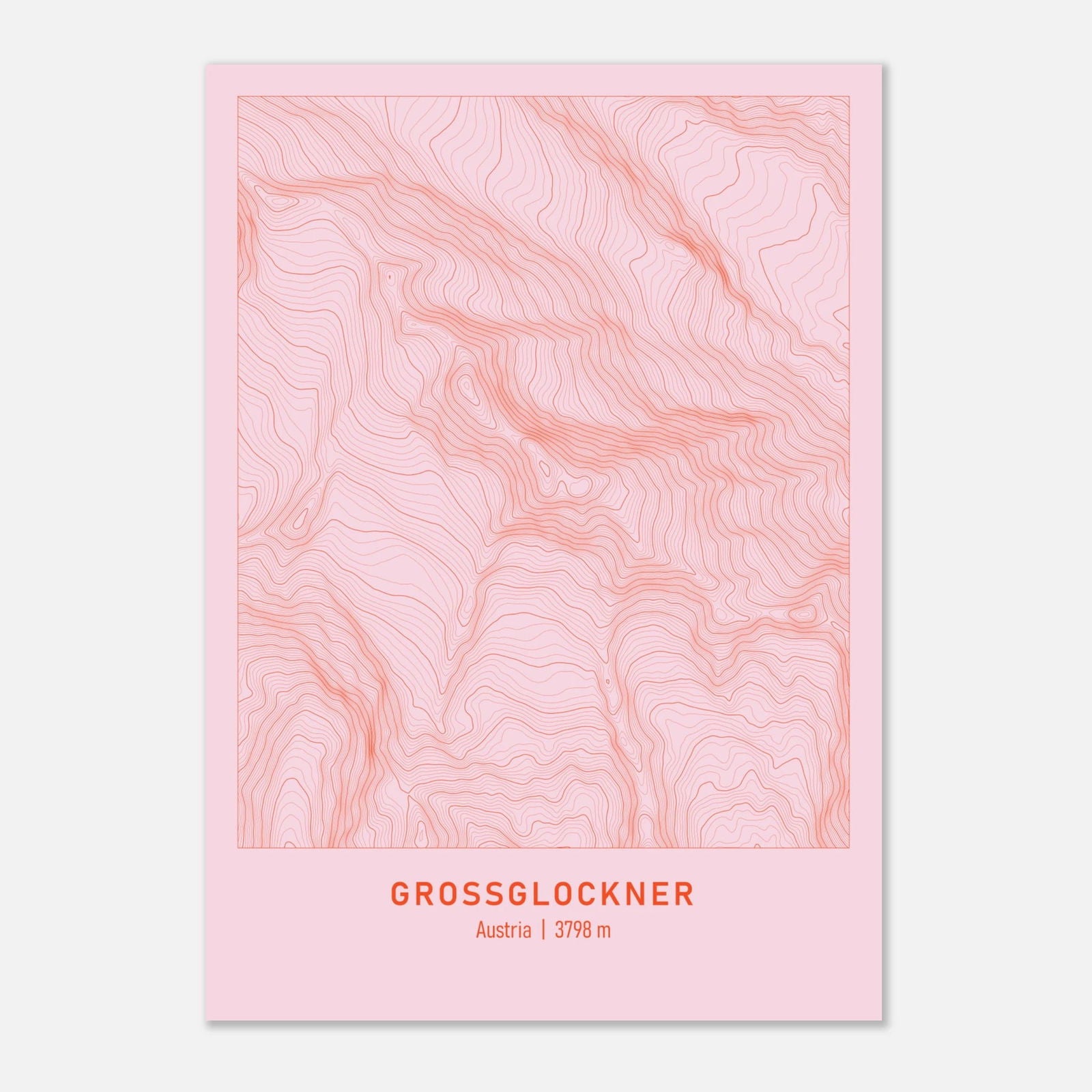 AAM_Großglockner Berg Höhenlinien Karte Poster - Rosa Rot