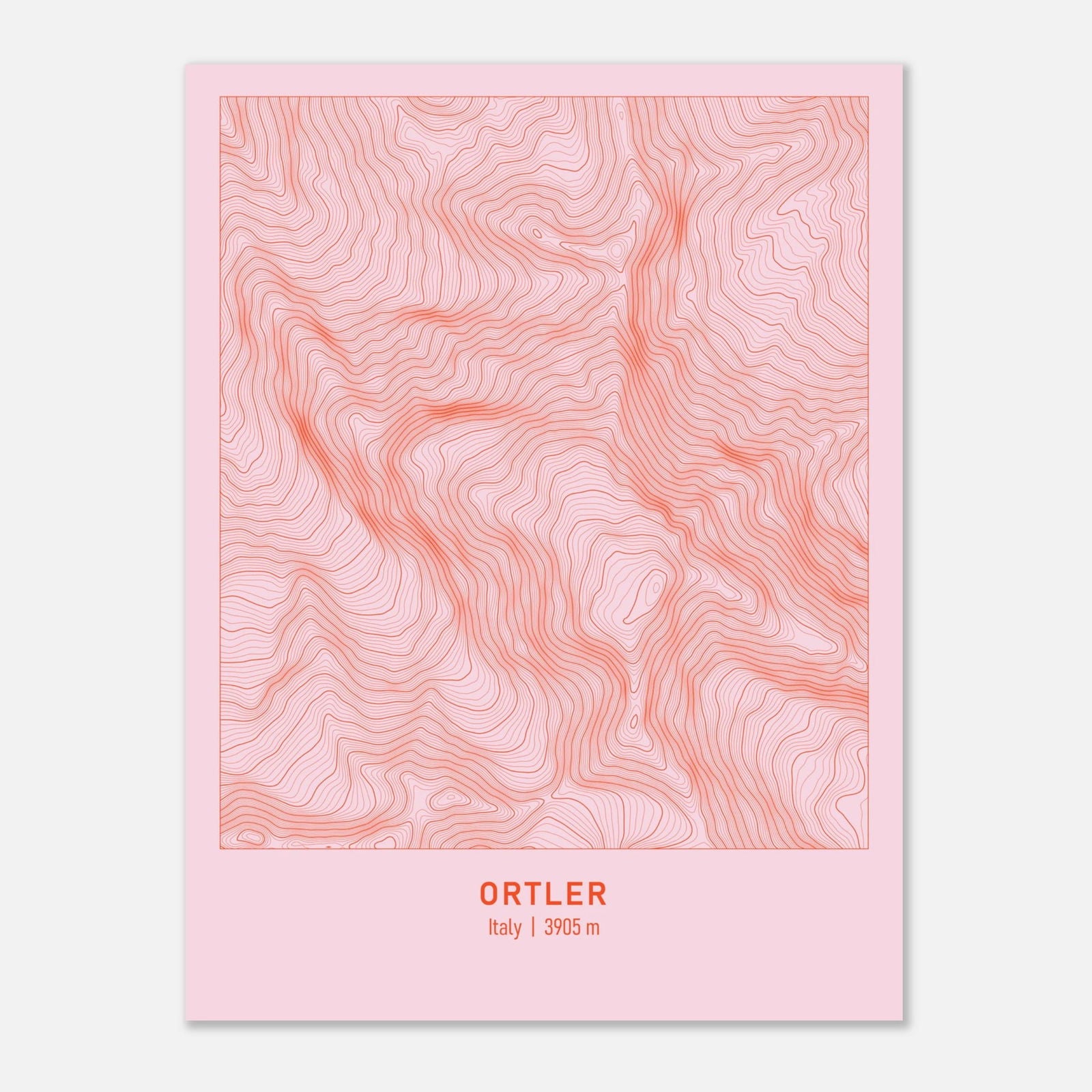 AAM_Ortler Berg Höhenlinien Karte Poster - Rosa Rot