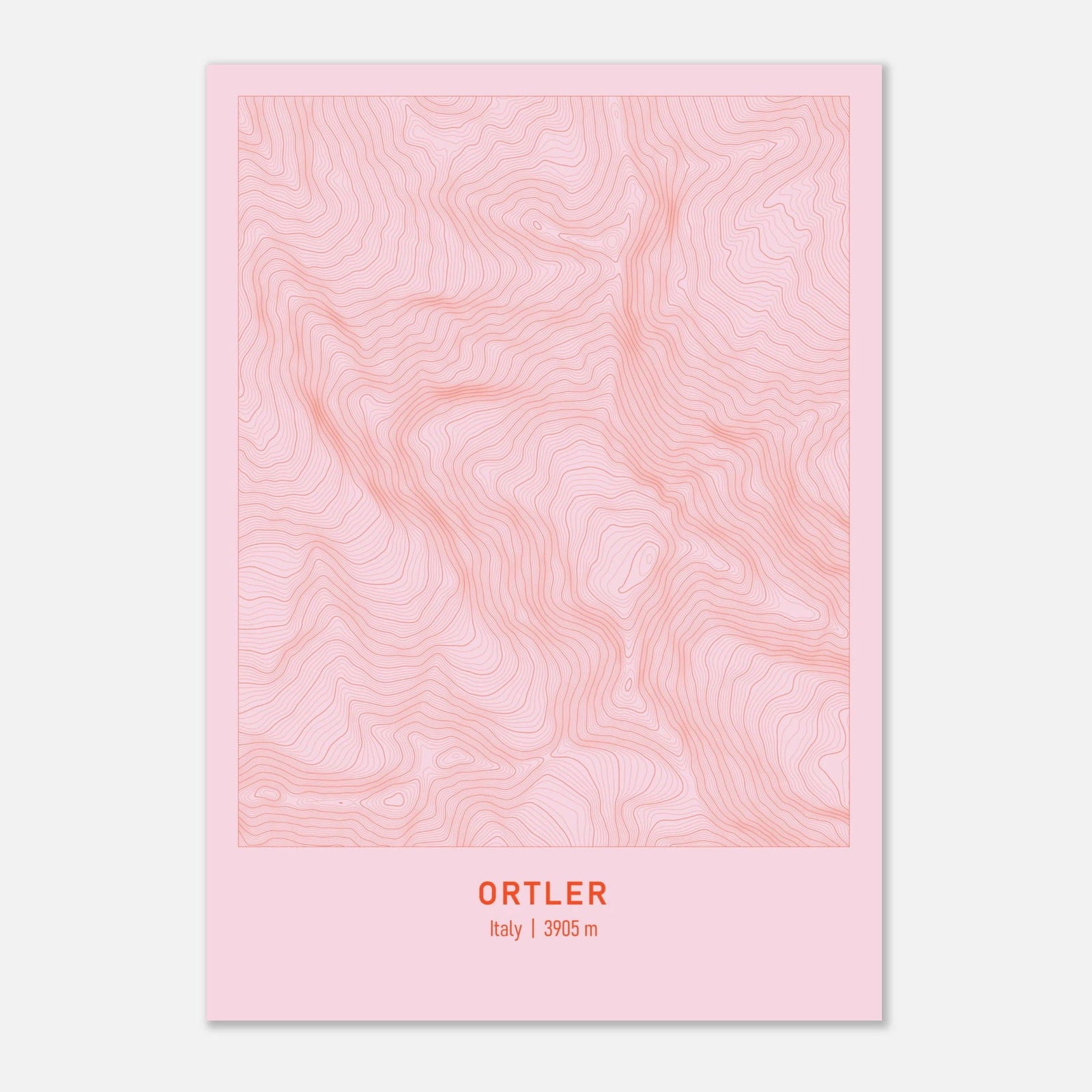 AAM_Ortler Berg Höhenlinien Karte Poster - Rosa Rot