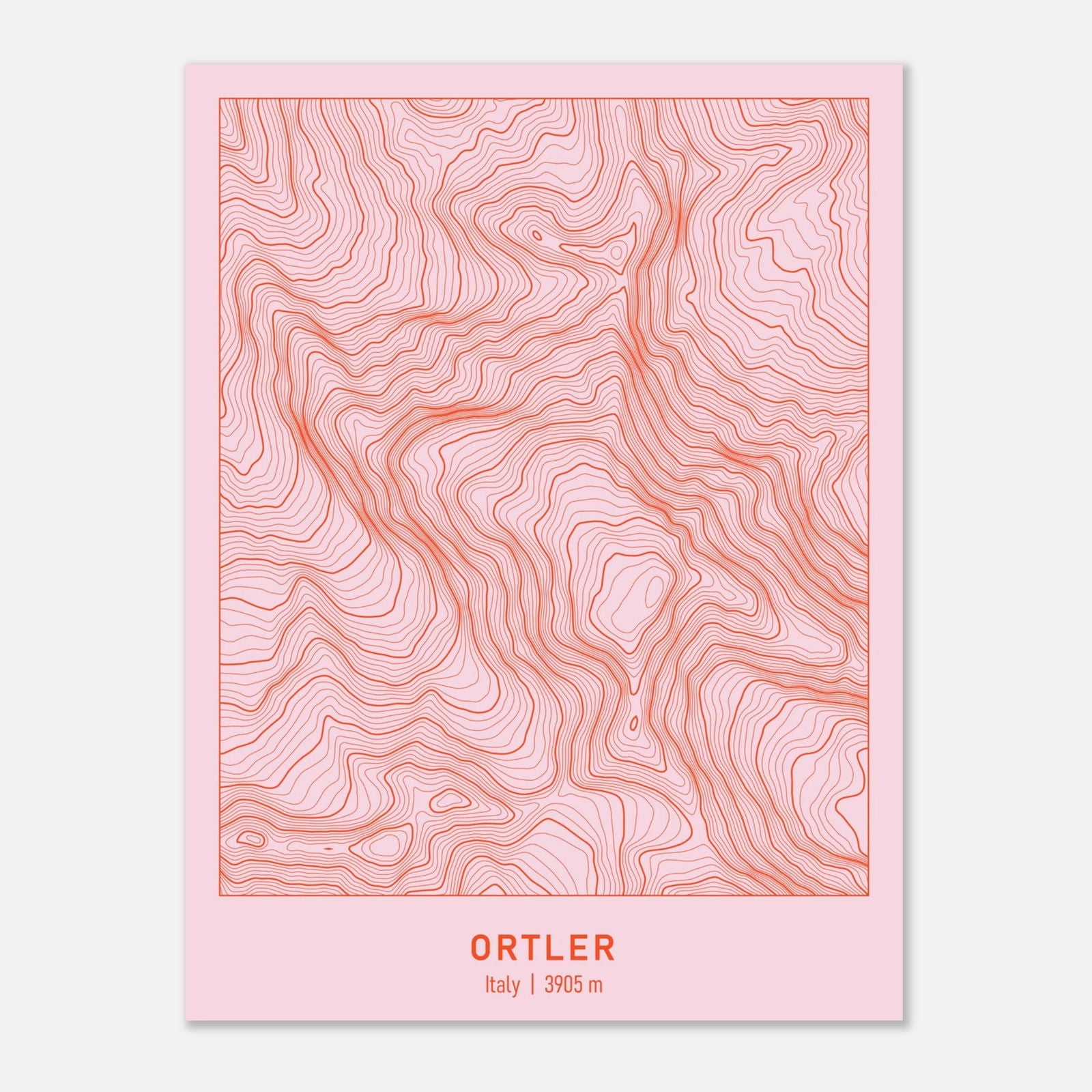 AAM_Ortler Berg Höhenlinien Karte Poster - Rosa Rot