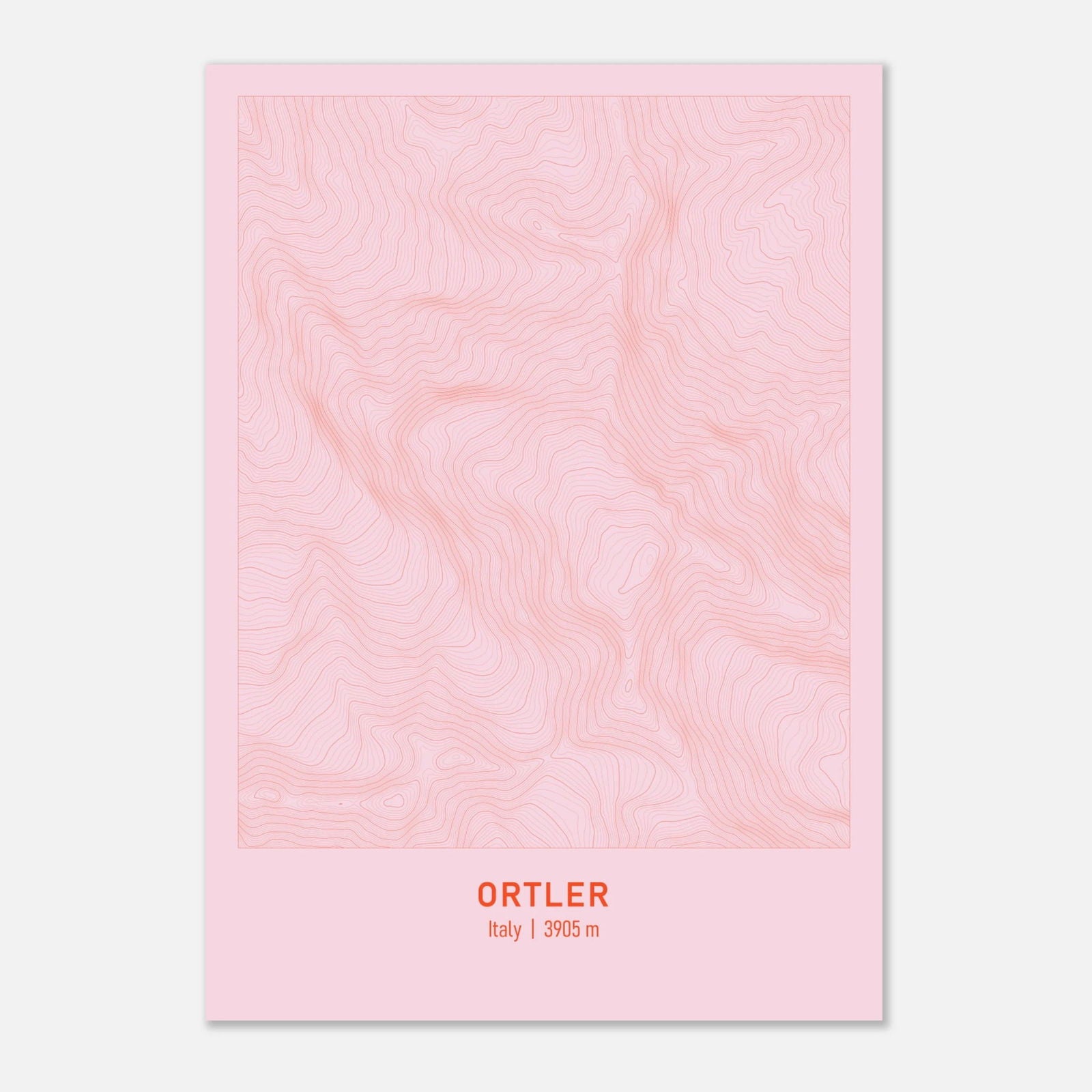 AAM_Ortler Berg Höhenlinien Karte Poster - Rosa Rot